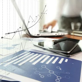 Not for Profit Entities Audit